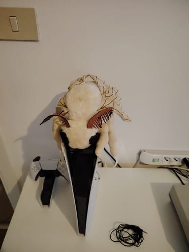 Customer photo review of Silk Moth Soft Stuffed Plush Toy