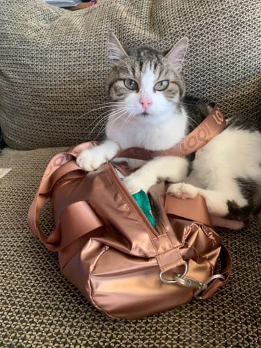 Customer photo review of METALLIC Rose Gold Medium Weekender