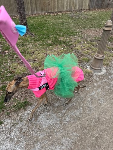 Customer photo review of Walk Essentials - Pink