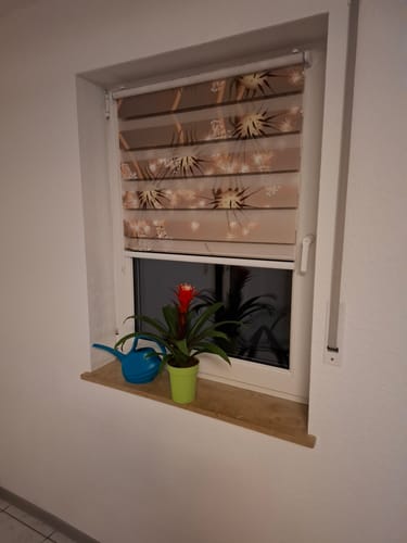 Customer photo review of Klemmfix Doppelrollo "Schmetterling Pusteblume" | Klemm Doppelrollo