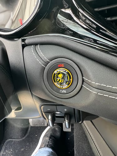 Customer photo review of "Killer Bee" Start Button