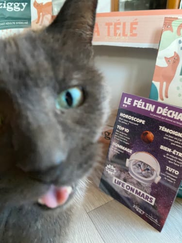 Avis photo d'un client sur Croquettes Chat Stérilisé Sans Céréales - Poulet