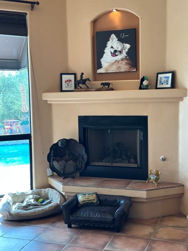 Customer photo review of Pet Art Canvas Wrap