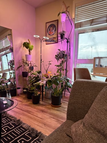 Customer photo review of Plant Food