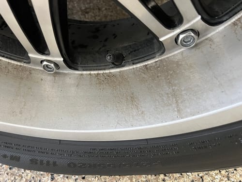 Customer photo review of Absolute Acid