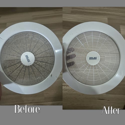 Customer photo review of SHYN Grime Lifter