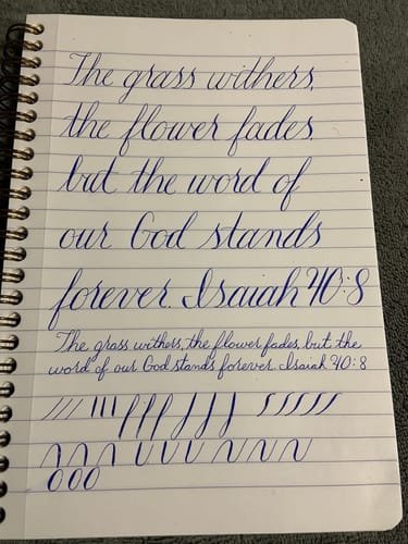 Customer photo review of XV Titanium Gold Flex Nib Set