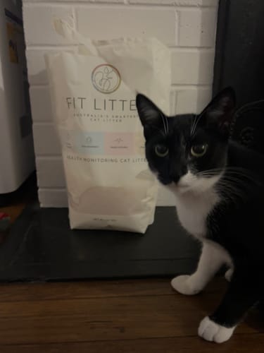 Customer photo review of 1 Month Supply – 1 Cat