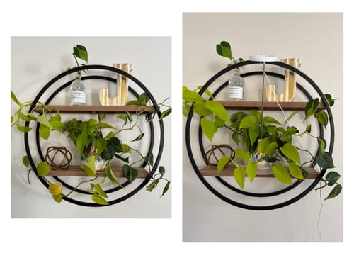 Customer photo review of Plant Food