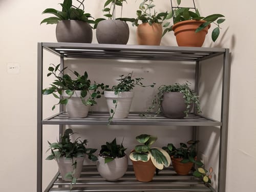 Customer photo review of Winter Protection Insurance