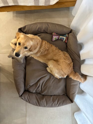 Customer photo review of Divanetto Mattias Marrone (Soft Touch)