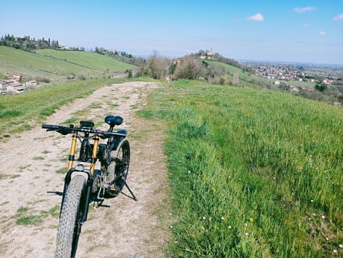 Customer photo review of Bezior X Plus Electric Mountain Folding Bike