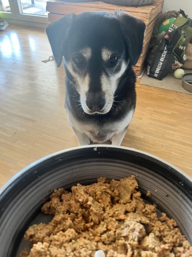 Customer photo review of Gelenk Drops