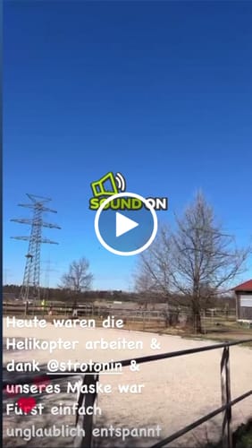 Customer video review of Strotonin Horse Support
