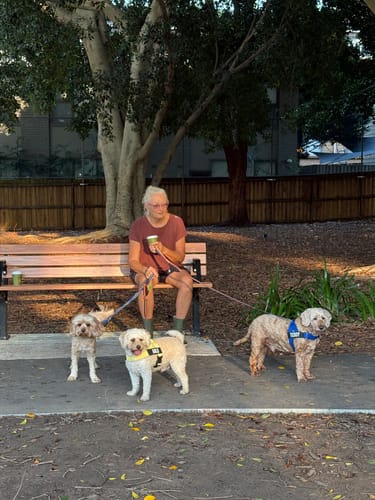 Customer photo review of Dog Harness