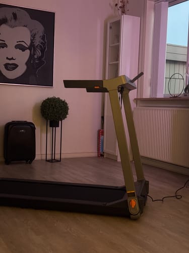 Customer photo review of WalkingPad G1