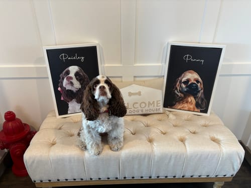 Customer photo review of Pet Art Canvas Wrap