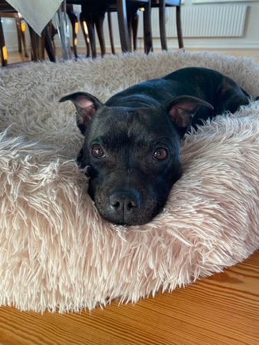 Customer photo review of CalmBed - Motverkar stress & hjälper mot ångest