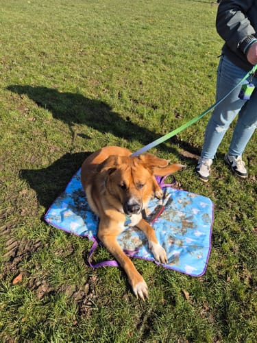 Miss review of Disney© Travel Mat - Buzz Lightyear image 1 out of 2