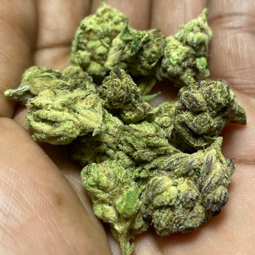 Customer photo review of Bulk THCA Smalls