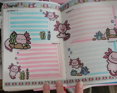 Customer photo review of Happy Axolotl Bundle