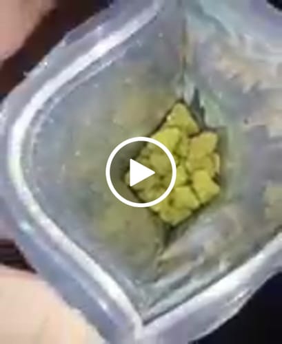 Customer video review of White Runtz - Greenhouse THCA (Smalls)
