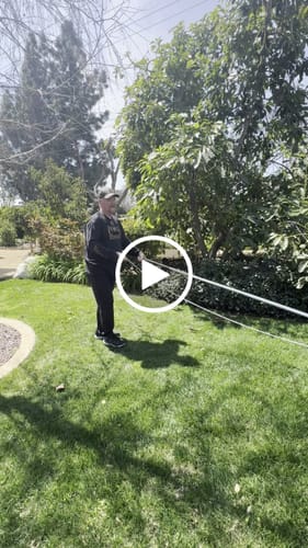 Customer video review of Fruit Picker Head with Bag- Avocado Picker