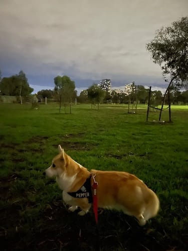 Customer photo review of Custom Name Patches