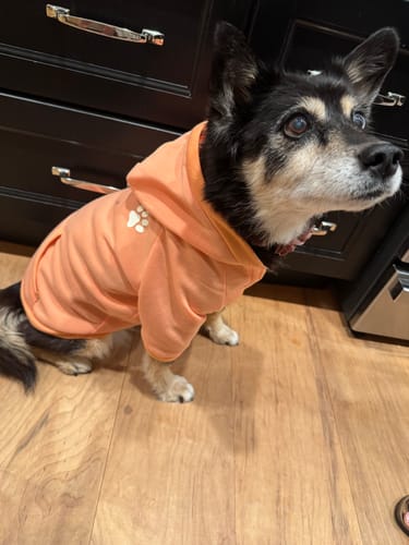 Customer photo review of Organic Coconut CBD Oil : 4 oz - 1,400mg : Anxiety & Calming Relief Blend