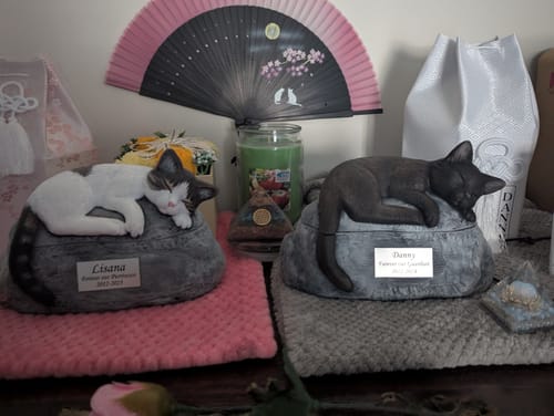 Customer photo review of Short Haired Custom Painted Ceramic Cat Urn - No Wings