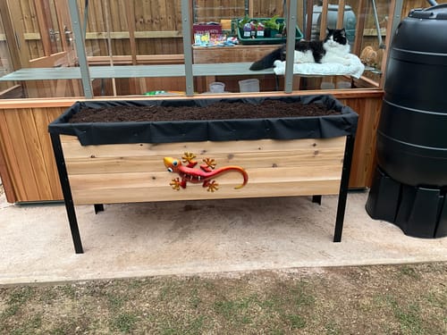 Customer photo review of Large Raised Garden Bed - 46cm x 153cm x 76cm