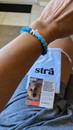 undefined review of STRĀ Dog Beaded Bracelet image 1 out of 1