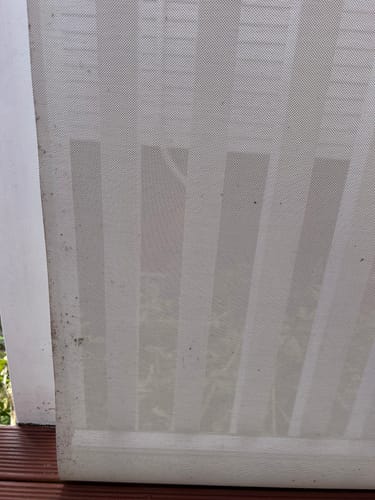 Customer photo review of Curtain Wizard Instant Mould & Mildew Remover