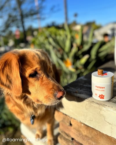 Customer photo review of Probiotic Chews