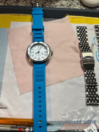 Customer photo review of Shark Gill Rubber - BluShark Blue
