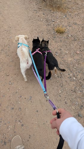 Customer photo review of Lead-All Lite Mini (Legacy)