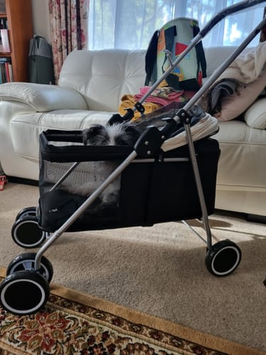 Customer photo review of Pawz Compact & Comfortable Pet Stroller