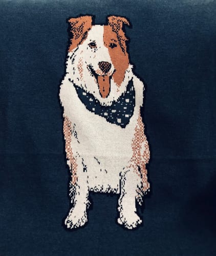 Customer photo review of Plain Dog - Custom Knitted Blanket