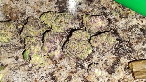 Customer photo review of Frosted Donuts Exotic THCA Flower