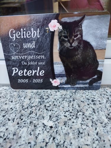 Customer photo review of Katzen Gedenktafel mit Foto & Spruch (UV- & Wetterfest)