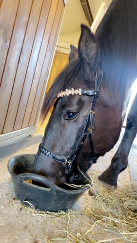 Customer photo review of Champagne Tiara