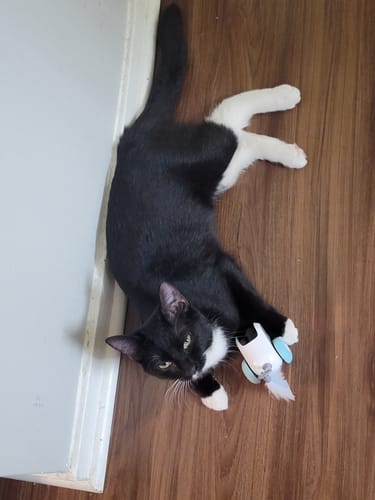 Felicia L. review of PRIORITY PROCESSING image 1 out of 1