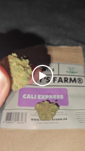 Customer video review of Cali Express (Premium) - <15% CBD - 1# Cup Winner