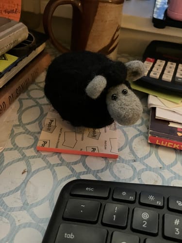 Customer photo review of Black Sheep Mini Needle Felting Kit