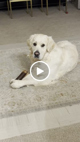 Customer video review of Smoked Beef Marrow Bone