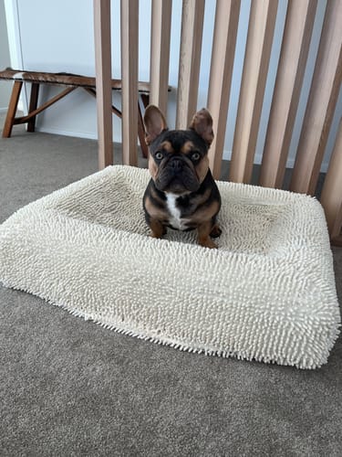 Customer photo review of Plush Nap Easy Fit Dog Bed Cover