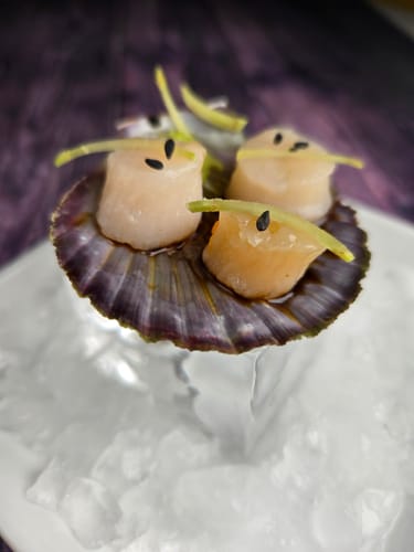 Customer photo review of Live Pink Scallop