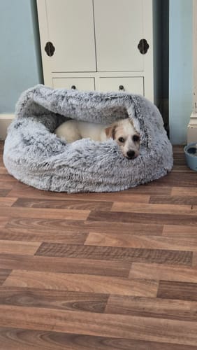 Customer photo review of Super Plush Cove Bed