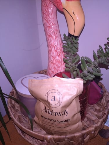 Customer photo review of Mushroom Gummies