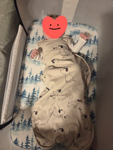 Customer photo review of 4 Season® Ultimate Baby Sleep Bag, Merino Wool & Organic Cotton, Puppy